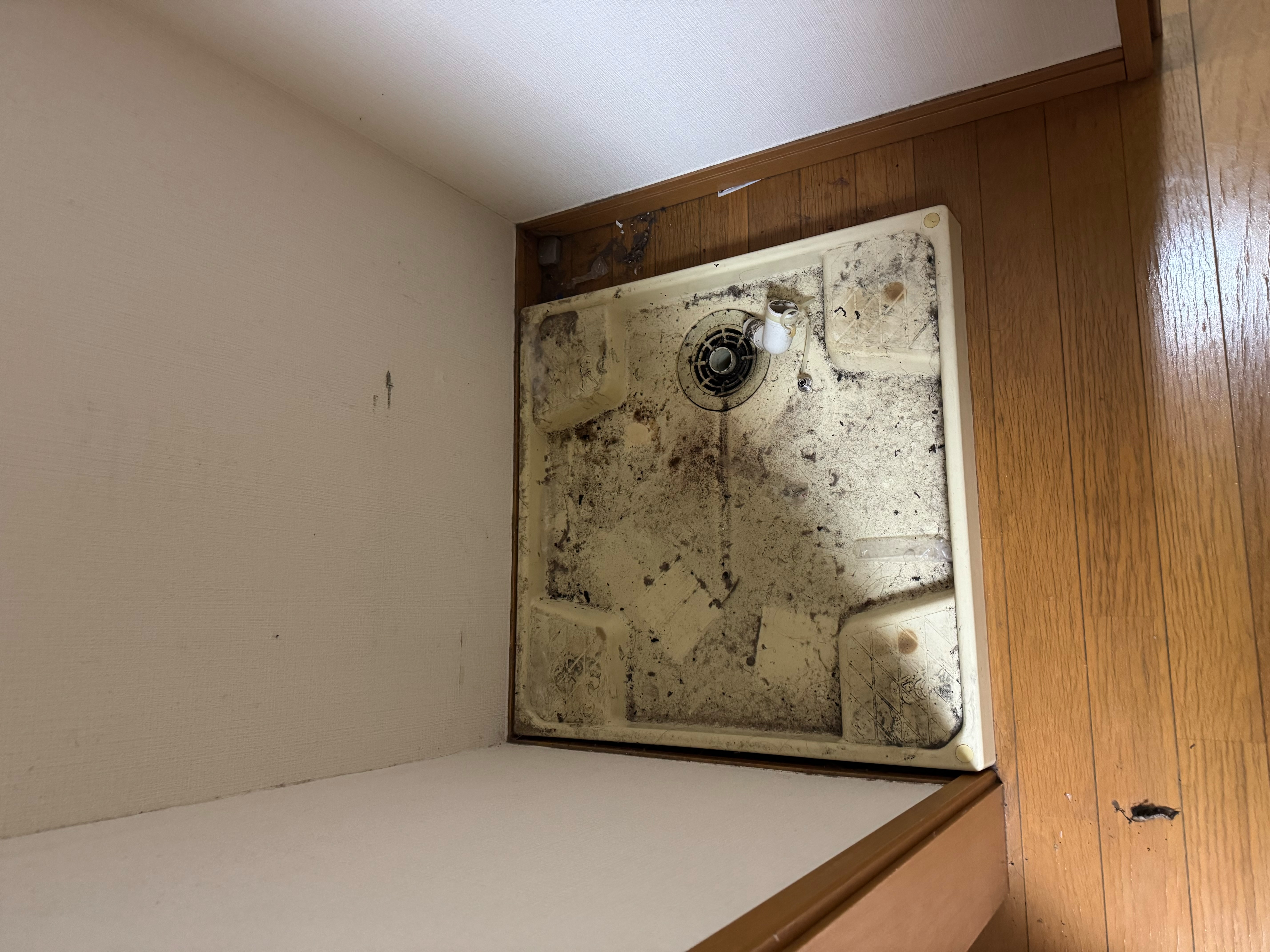 玄関片付け Before